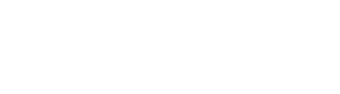 France Réseaux Invest